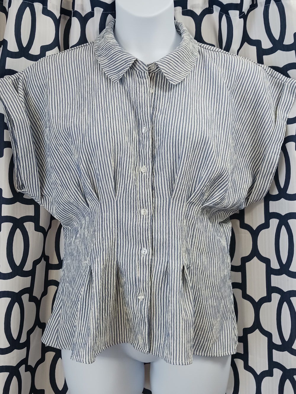Striped Button-Front Blouse in Navy and White